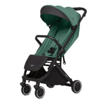 Anex Air-x Green